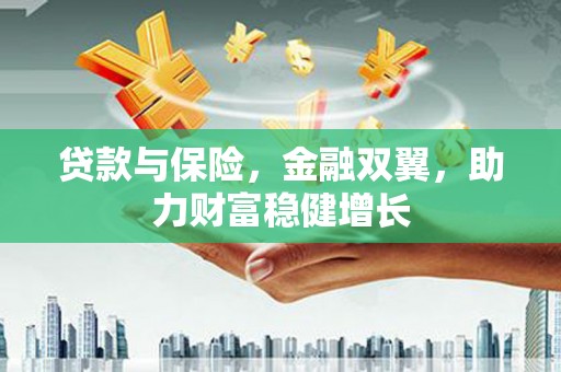 元宝贷款与保险，金融双翼，助力财富稳健增长