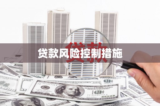 元宝贷款风险控制措施