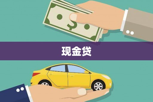 元宝现金贷
