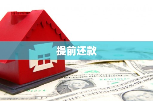 元宝提前还款