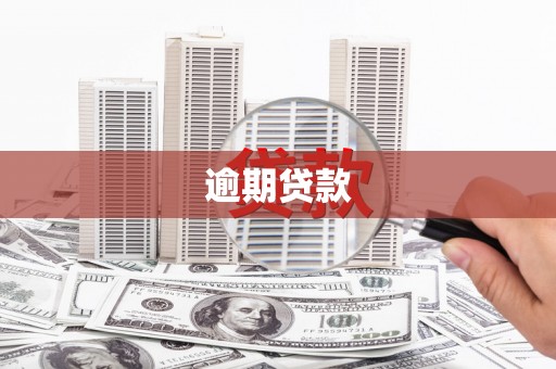 元宝逾期贷款