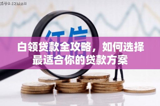元宝白领贷款全攻略，如何选择最适合你的贷款方案